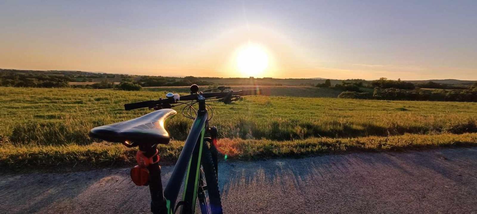 Green Gold Caglin Eksteriør billede